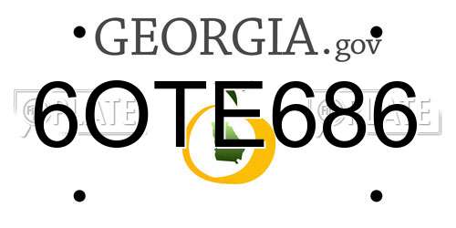 6OTE686 Georgia License Plate