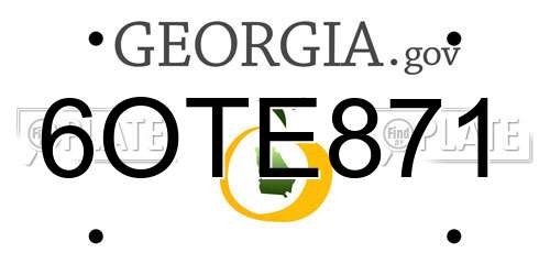 6OTE871 Georgia License Plate