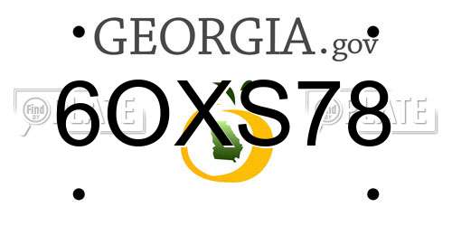 6OXS78 Georgia License Plate
