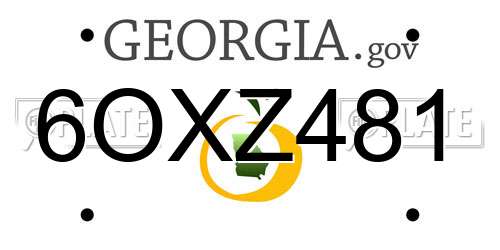 6OXZ481 Georgia License Plate