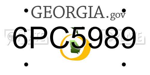 6PC5989 Georgia License Plate