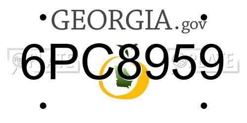 6PC8959 Georgia License Plate