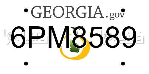 6PM8589 Georgia License Plate