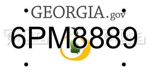 6PM8889 Georgia License Plate