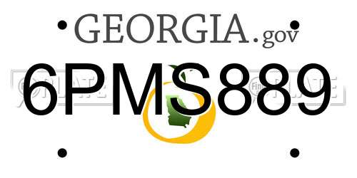 6PMS889 Georgia License Plate