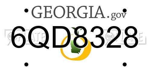 6QD8328 Georgia License Plate