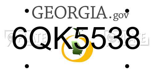6QK5538 Georgia License Plate