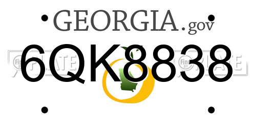 6QK8838 Georgia License Plate