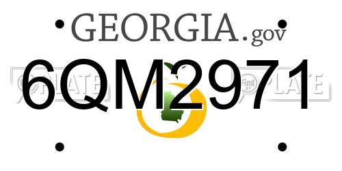 6QM2971 Georgia License Plate