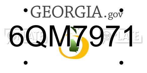 6QM7971 Georgia License Plate