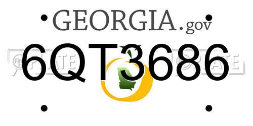 6QT3686 Georgia License Plate