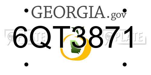 6QT3871 Georgia License Plate