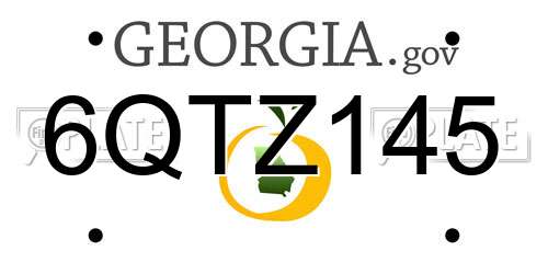 6QTZ145 Georgia License Plate