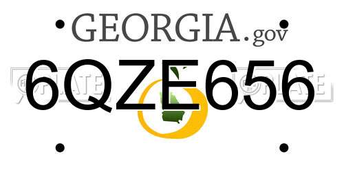 6QZE656 Georgia License Plate