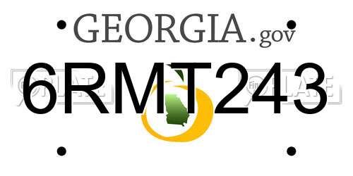 6RMT243 Georgia License Plate