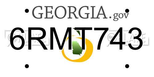 6RMT743 Georgia License Plate