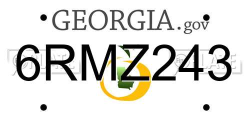 6RMZ243 Georgia License Plate