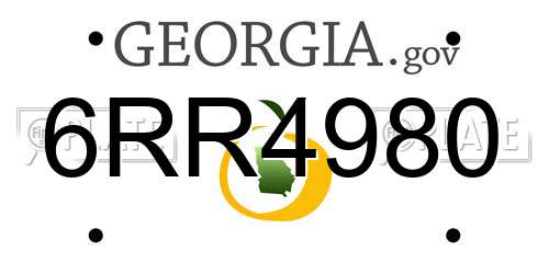6RR4980 Georgia License Plate