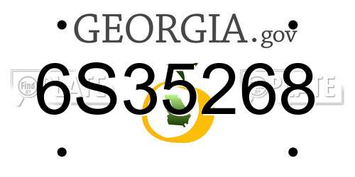 6S35268 Georgia License Plate