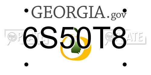 6S50T8 Georgia License Plate
