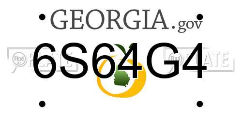 6S64G4 Georgia License Plate