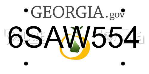 6SAW554 Georgia License Plate