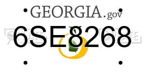 6SE8268 Georgia License Plate