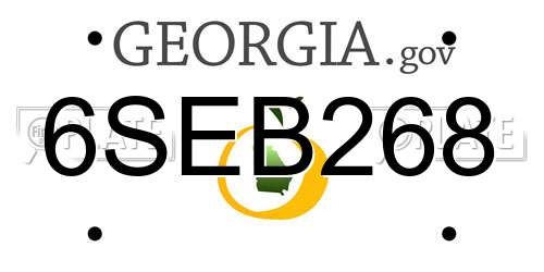6SEB268 Georgia License Plate