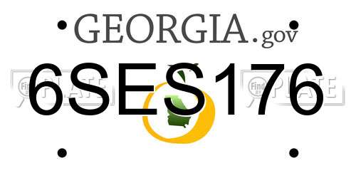6SES176 Georgia License Plate