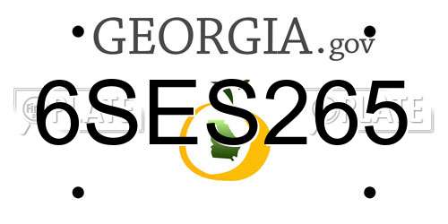 6SES265 Georgia License Plate