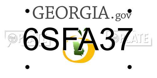 6SFA37 Georgia License Plate