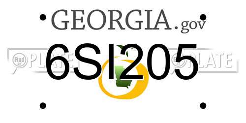 6SI205 Georgia License Plate