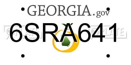 6SRA641 Georgia License Plate