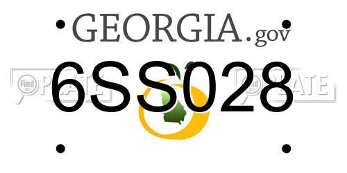 6SS028 Georgia License Plate