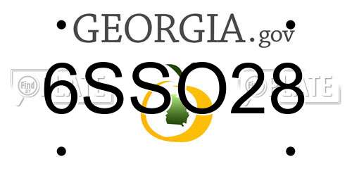 6SSO28 Georgia License Plate