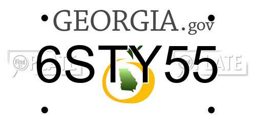 6STY55 Georgia License Plate