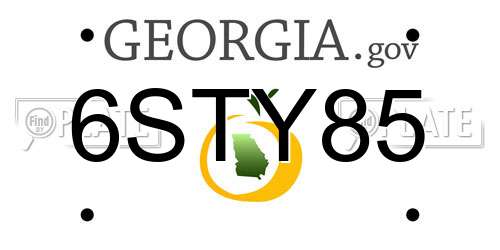 6STY85 Georgia License Plate