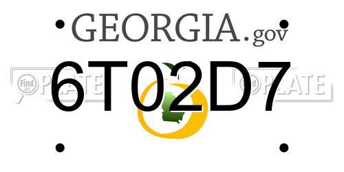 6T02D7 Georgia License Plate