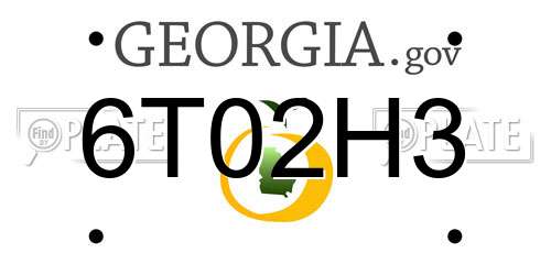 6T02H3 Georgia License Plate