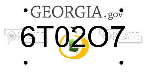 6T02O7 Georgia License Plate