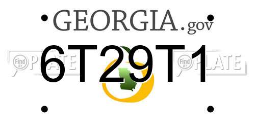 6T29T1 Georgia License Plate