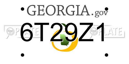 6T29Z1 Georgia License Plate