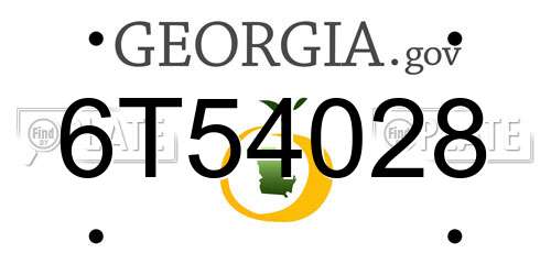 6T54028 Georgia License Plate