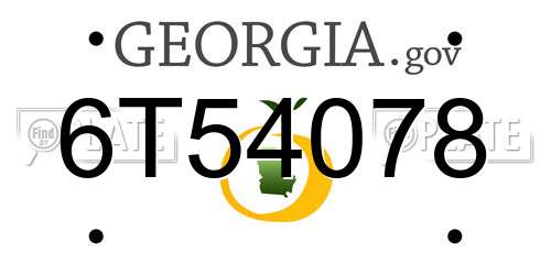 6T54078 Georgia License Plate