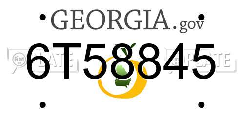 6T58845 Georgia License Plate