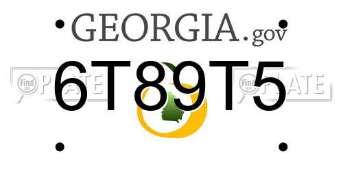 6T89T5 Georgia License Plate