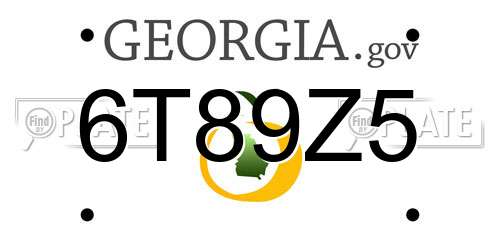 6T89Z5 Georgia License Plate