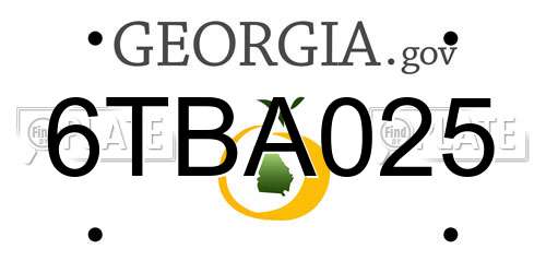 6TBA025 Georgia License Plate