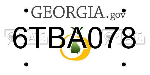 6TBA078 Georgia License Plate