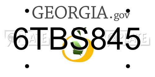 6TBS845 Georgia License Plate
